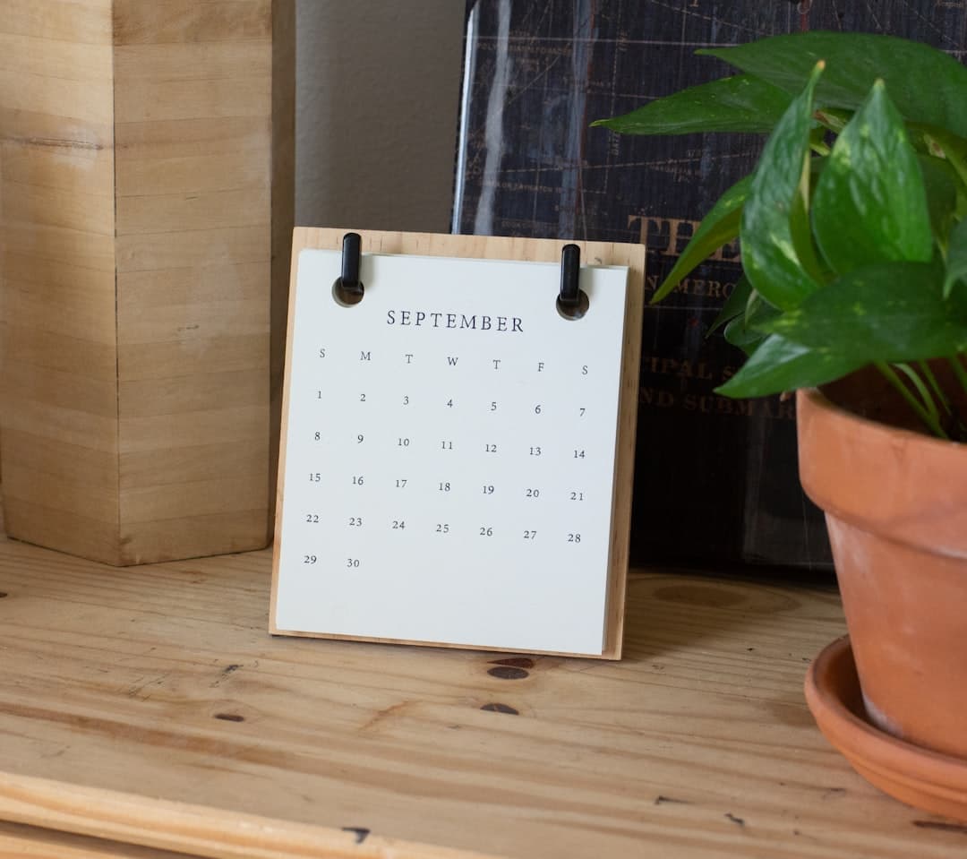 Ferramentas de Gestão de Agendamentos para Freelancers